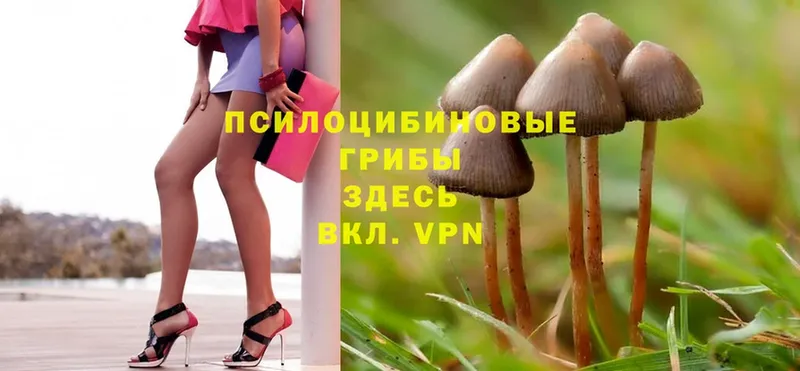 Псилоцибиновые грибы MAGIC MUSHROOMS  как найти закладки  Инта 